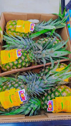 عکس میوه و تره بار ستاره رمضانپور