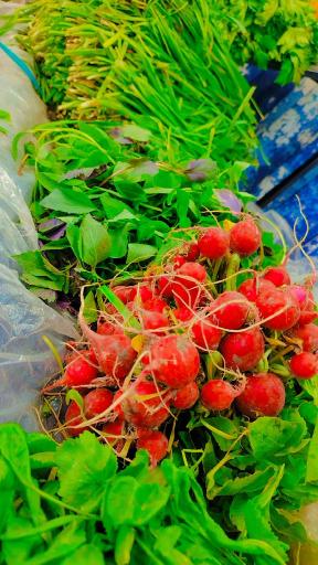 عکس میوه و تره بار ستاره رمضانپور