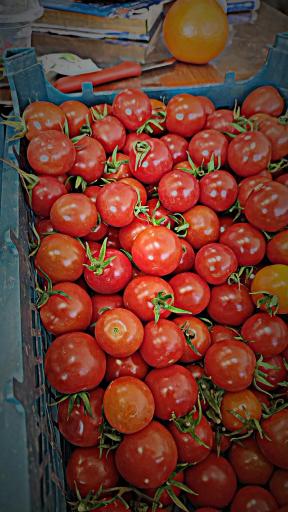 عکس میوه و تره بار ستاره رمضانپور