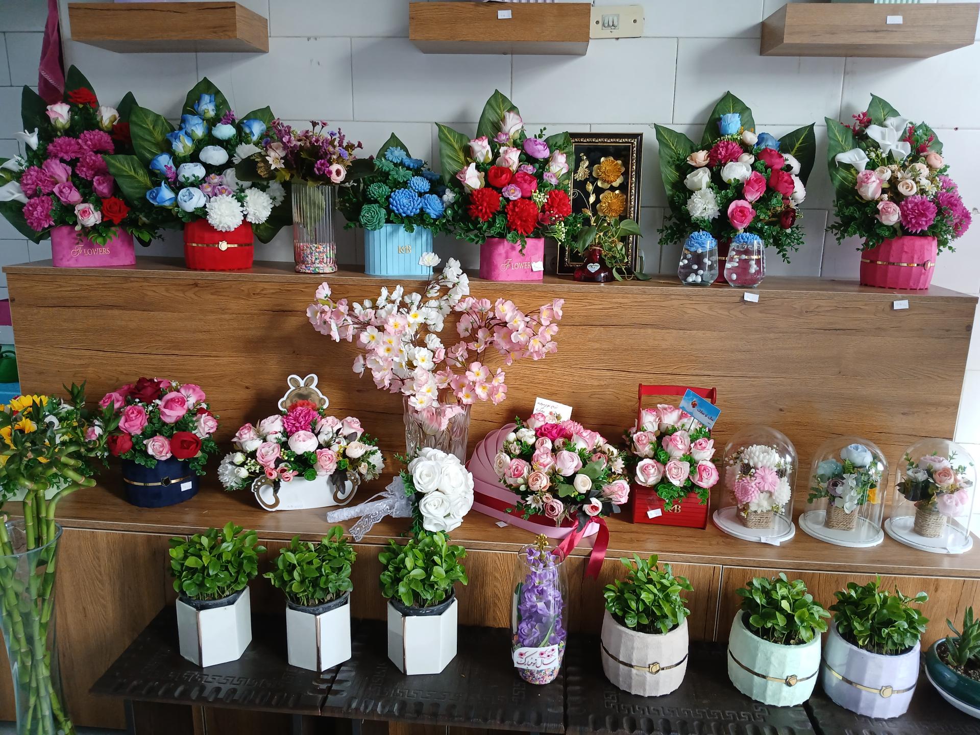 عکس گلکده بهار