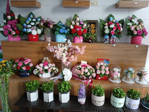 عکس گلکده بهار