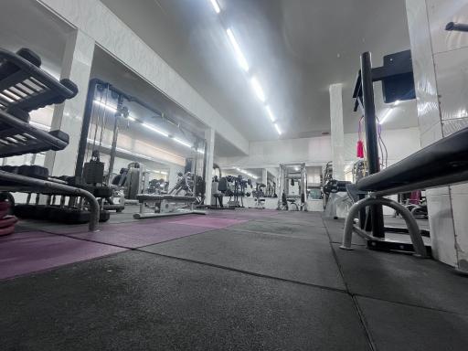 عکس باشگاه پرورش اندام تیتان