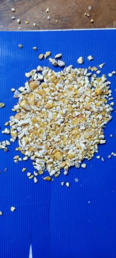 عکس خوراک دام پروانه