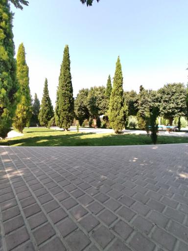 عکس پارک لاله