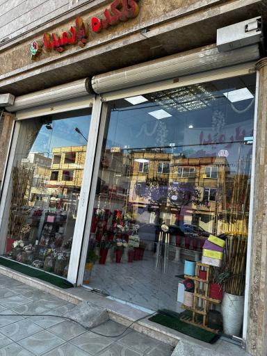 گلکده پارمیدا 