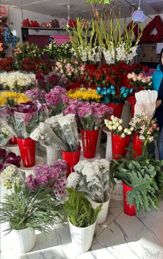 گلکده پارمیدا 