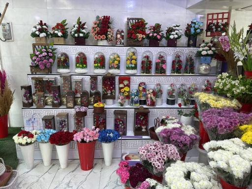 گلکده پارمیدا 