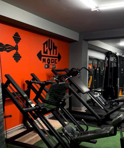 عکس باشگاه بدنسازی آرتیا