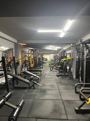 عکس باشگاه بدنسازی آرتیا