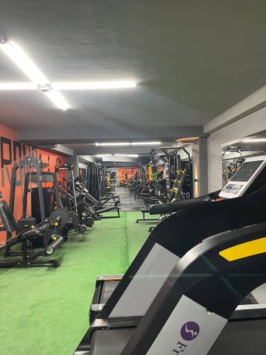 عکس باشگاه بدنسازی آرتیا