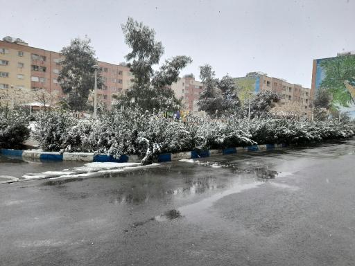 عکس پارک محلی 