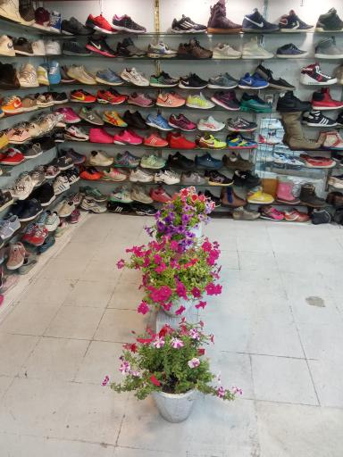 عکس کتونی سمپل