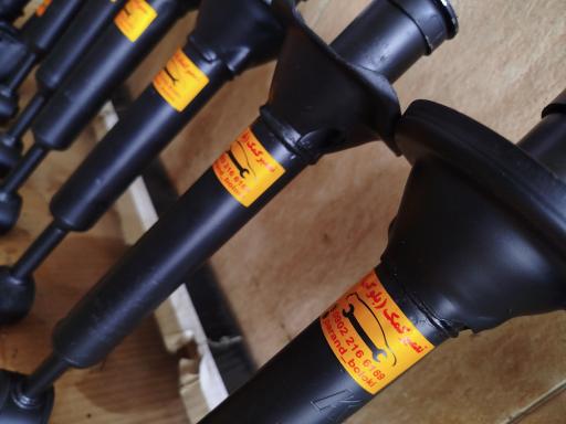 عکس جلوبندی پرند