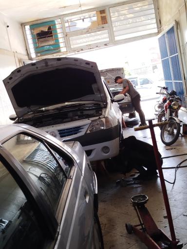 عکس جلوبندی پرند