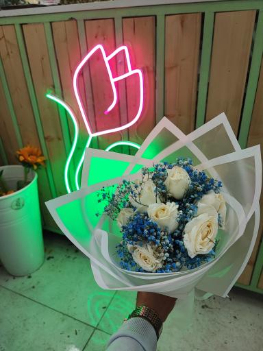 عکس گلفروشی نازگل 