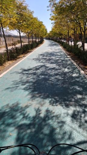 عکس پیاده رو سلامت شیراز