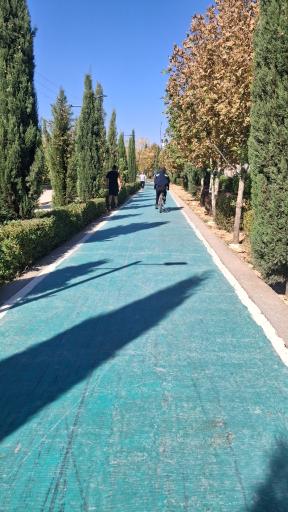 عکس پیاده رو سلامت شیراز