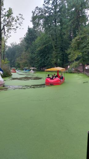 عکس پارک جنگلی و مرداب مصنوعی سبز سراوان (فاز ۲)