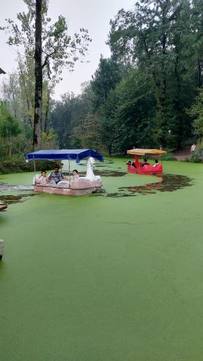 عکس پارک جنگلی و مرداب مصنوعی سبز سراوان (فاز ۲)