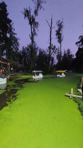 عکس پارک جنگلی و مرداب مصنوعی سبز سراوان (فاز ۲)