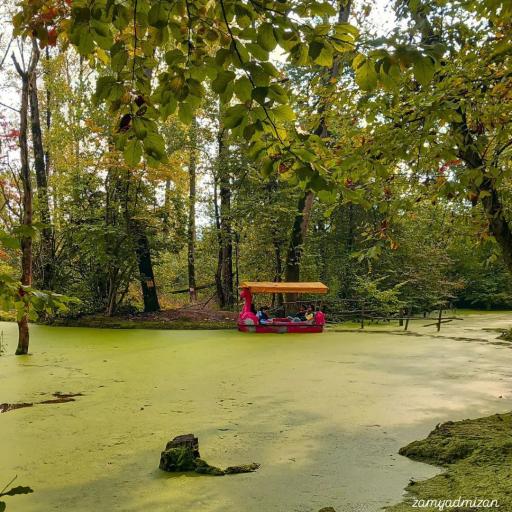 عکس پارک جنگلی و مرداب مصنوعی سبز سراوان (فاز ۲)