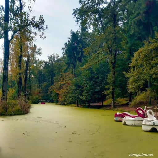 عکس پارک جنگلی و مرداب مصنوعی سبز سراوان (فاز ۲)