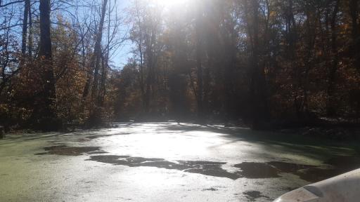 عکس پارک جنگلی و مرداب مصنوعی سبز سراوان (فاز ۲)