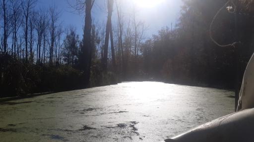 عکس پارک جنگلی و مرداب مصنوعی سبز سراوان (فاز ۲)