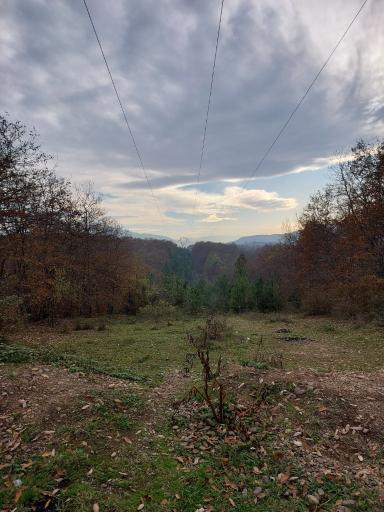 عکس پارک جنگلی و مرداب مصنوعی سبز سراوان (فاز ۲)