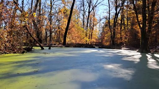 عکس پارک جنگلی و مرداب مصنوعی سبز سراوان (فاز ۲)