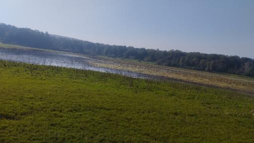 عکس پارک جنگلی و مرداب مصنوعی سبز سراوان (فاز ۲)