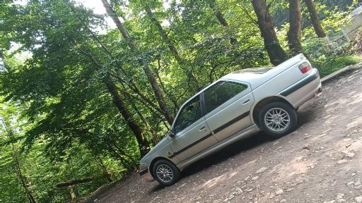 عکس پارک جنگلی و مرداب مصنوعی سبز سراوان (فاز ۲)