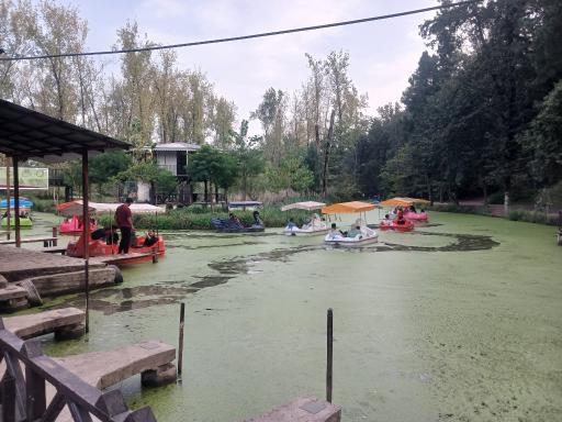 عکس مرداب مصنوعی