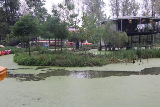 عکس مرداب مصنوعی