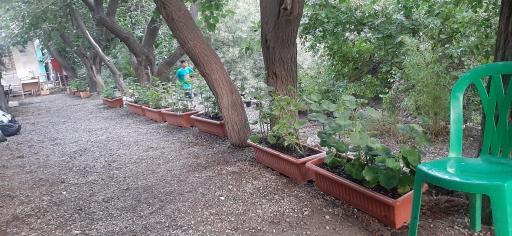 عکس باغ رستوران شایان