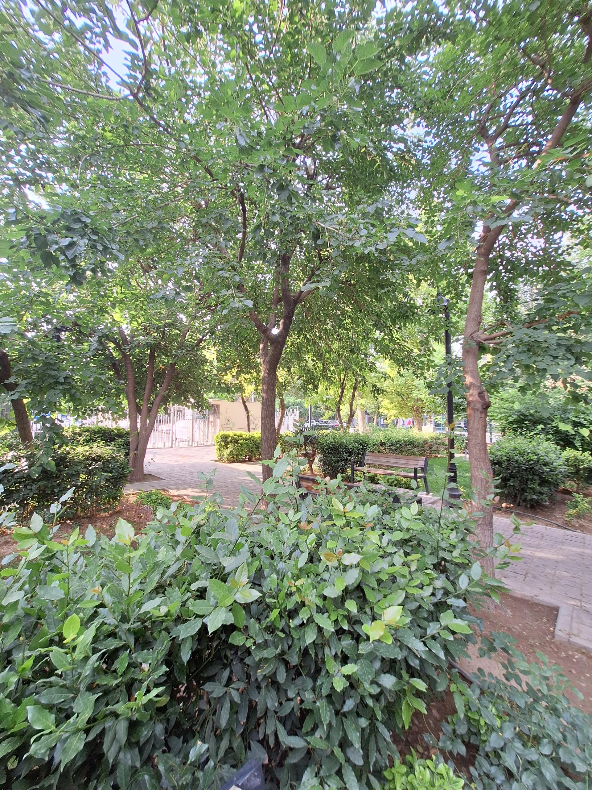 عکس بوستان ارفع