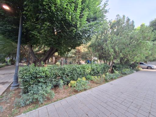 عکس بوستان ارفع