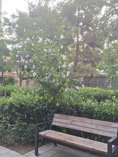 عکس بوستان ارفع