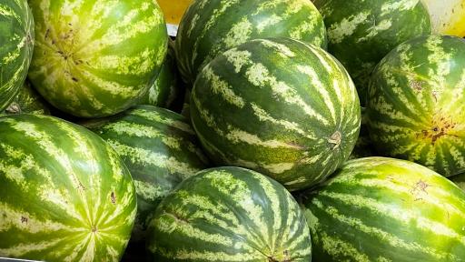 عکس میوه و تره بار اباذر