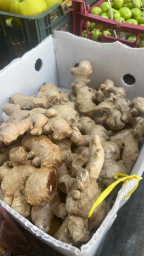 عکس میوه و تره بار اباذر