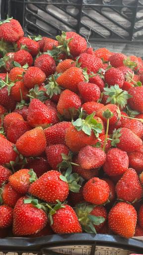 عکس میوه و تره بار اباذر