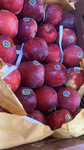 عکس میوه و تره بار اباذر