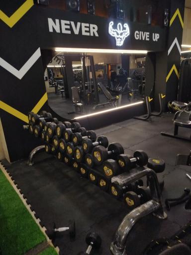 عکس باشگاه بدنسازی لئو۶