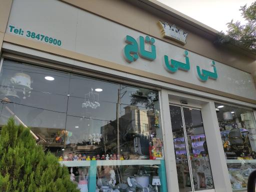 نی نی تاج