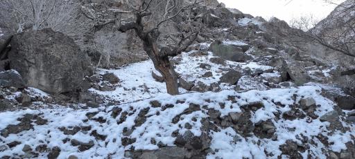 عکس چشمه آب معدنی بند دره