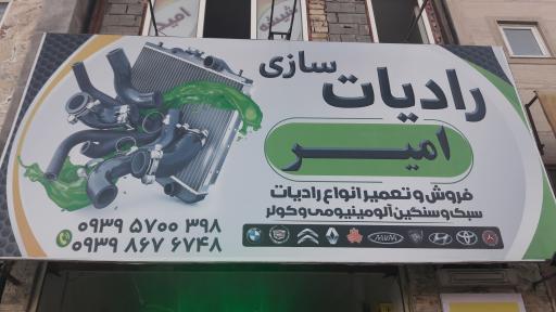 عکس رادیات سازی امیر