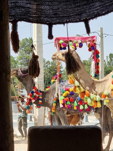 عکس سفره خانه اجاق