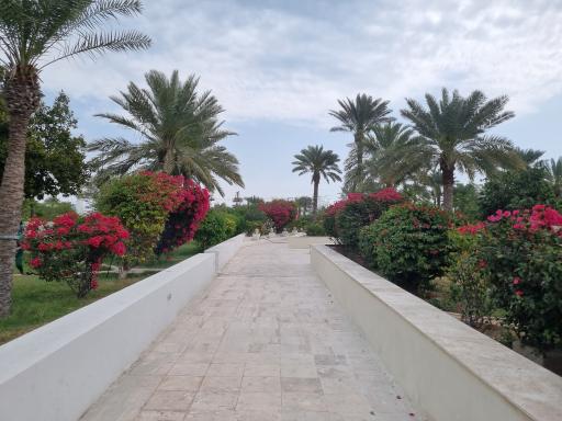 عکس هتل شایان کیش