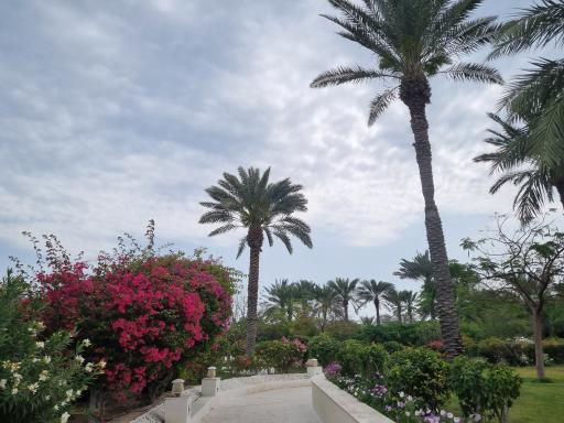 عکس هتل شایان کیش