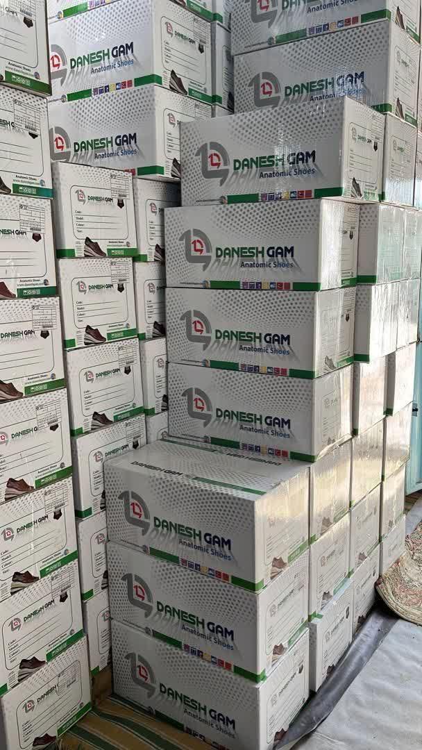 عکس تولیدی کفش دانش گام